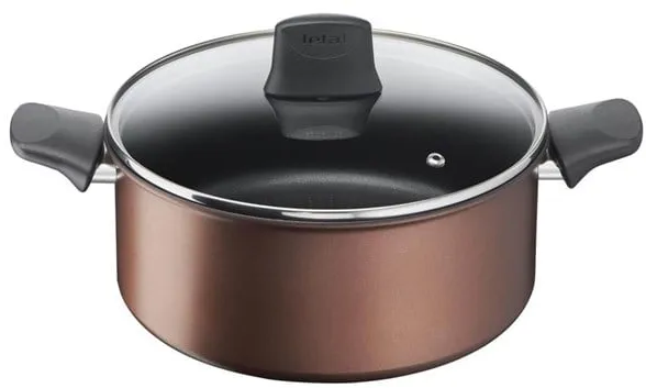 Tefal Resource Stewpot 24 cm/5.2 l. w. lid
